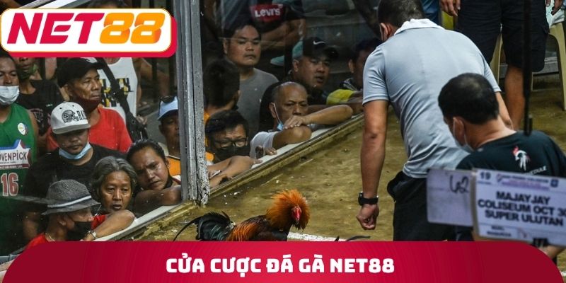 Cửa cược đá gà Net88